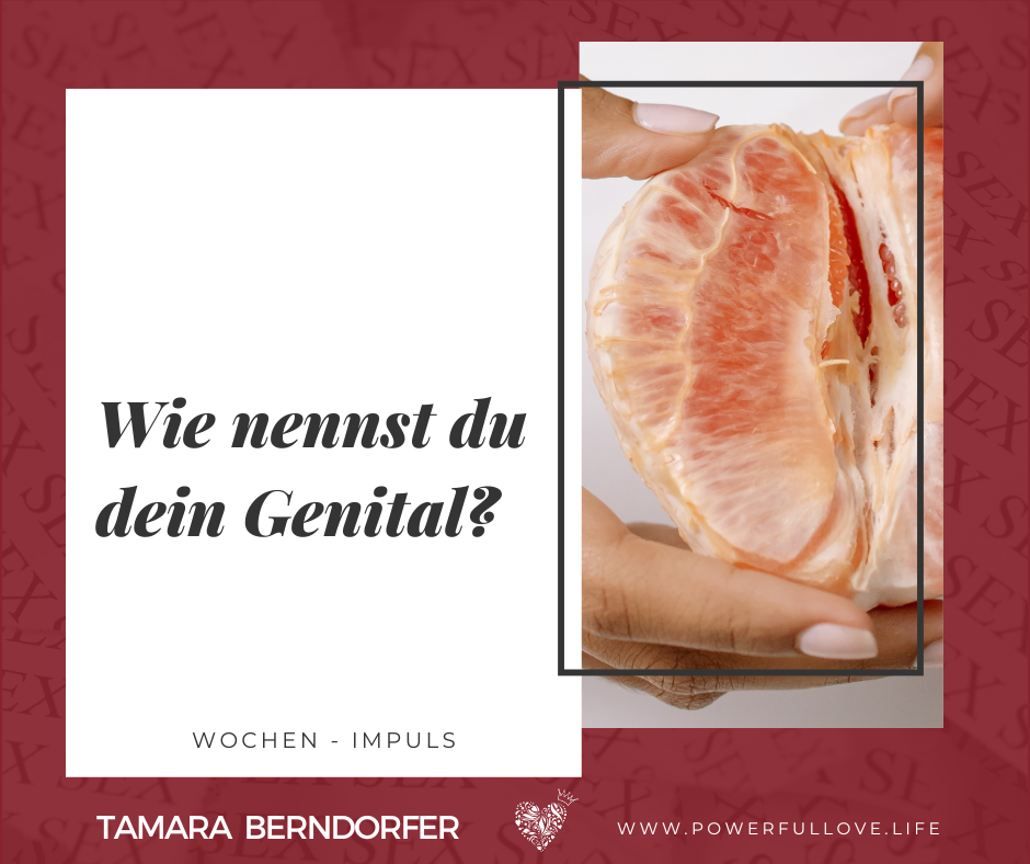 Wie nennst du dein Genital