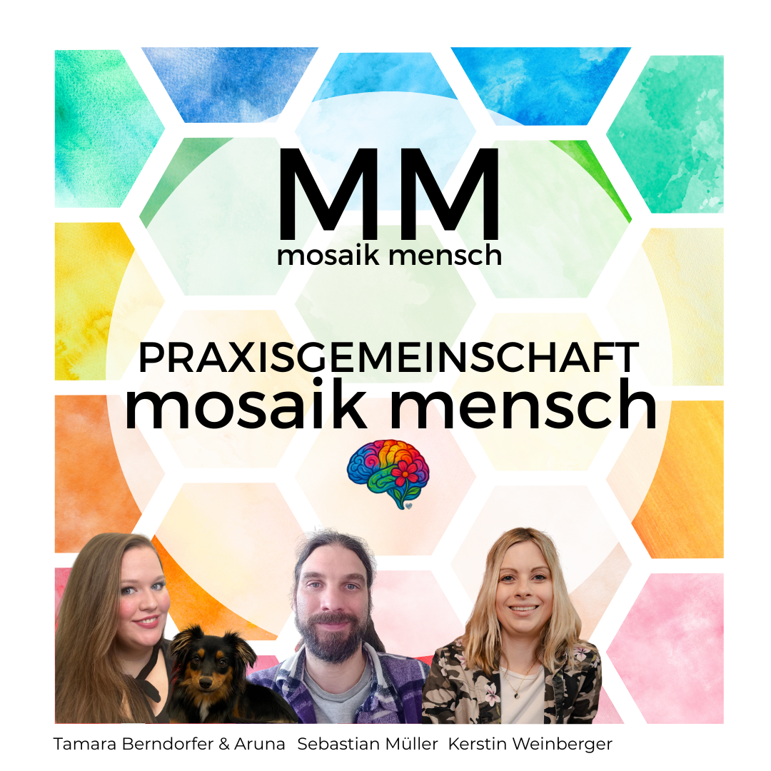 Mosaik Mensch, Praxisgemeinschaft